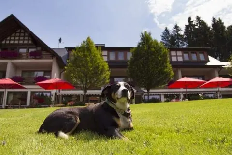 Hotel Kleins Wiese foto 18