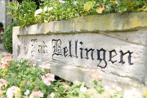 Hotel Markushof in Bad Bellingen — foto 6