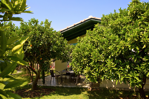 Appartementen Villa Marina foto 8