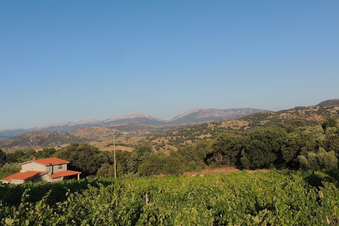 Hotel Su Lithu foto 12