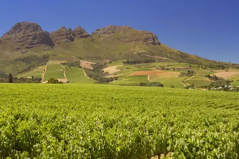 Suid-Afrika Compleet in Complete rondreis Zuid-Afrika — foto 14