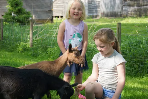 Camping De Toffe Peer foto 15