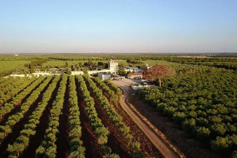 Agriturismo Tenuta Mazzetta foto 7