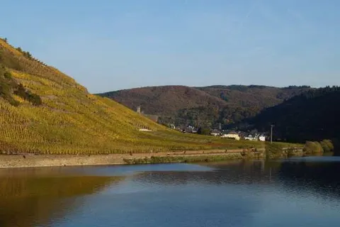 Hotel zum Moselstrand foto 14