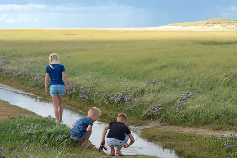 Vakantiepark De Krim foto 26