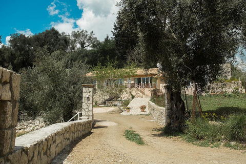 Villa Panorea foto 24