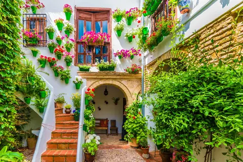 Ontdek de Andalusische steden per trein in Hernani — foto 16
