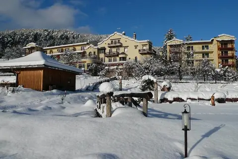 Hotel Mirabell Alpine Garden Resort & Spa in Seis, foto 8