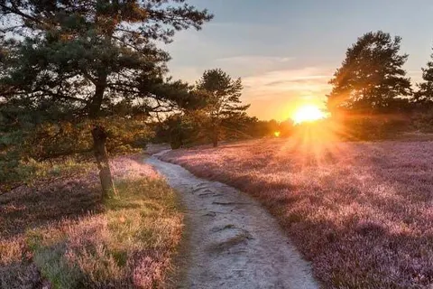 Hotel &ampapos;t Paviljoen foto 27