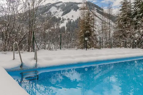 Alpenparks Appartementen en Ferienresort Rehrenberg in Viehhofen — foto 7