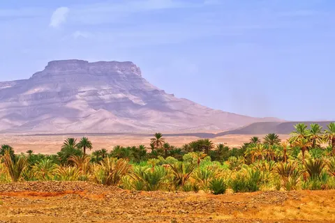 Het schitterende zuiden foto 3