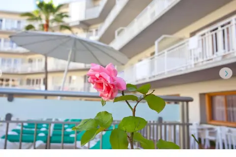 Ecuador Park Apartments in Torremolinos — foto 17