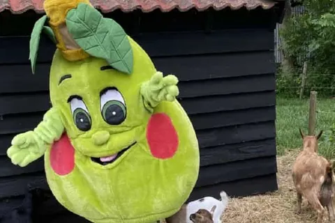 Vakantiepark De Toffe Peer foto 8