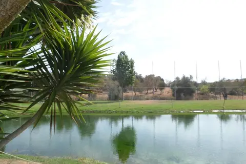The Navigator - Palm Oasis Alvor in Portimão — foto 18