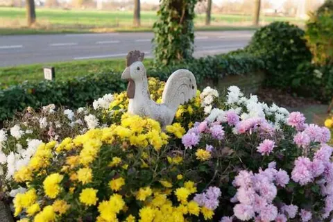 B&B Sagenland foto 3