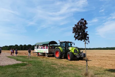 Camping Ferme Pédagogique De Prunay foto 21