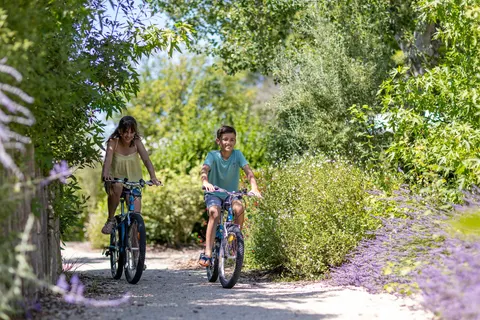 Camping Mont Saint Michel foto 5