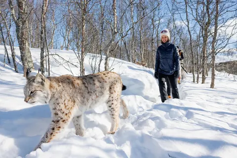 Ontdek het winteravontuur vanuit Geilo foto 8