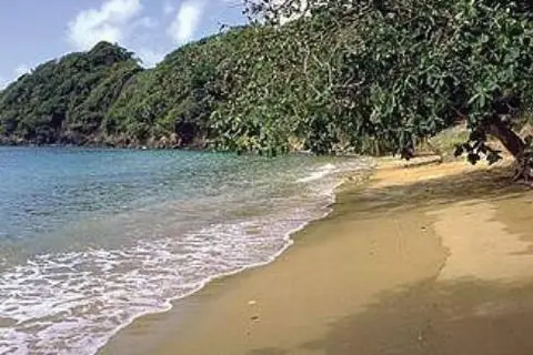 Blue Waters Inn in Charlotteville, foto 5