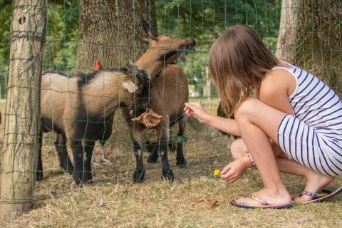 Camping Aux Rives Du Soleil foto 11