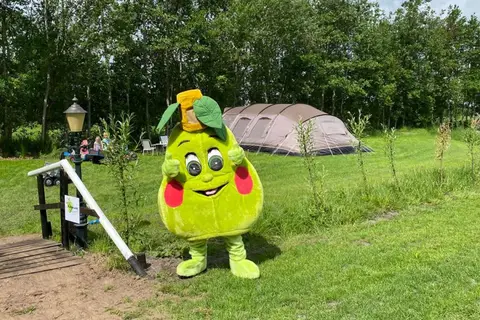 Camping De Toffe Peer in Ruinerwold — foto 3