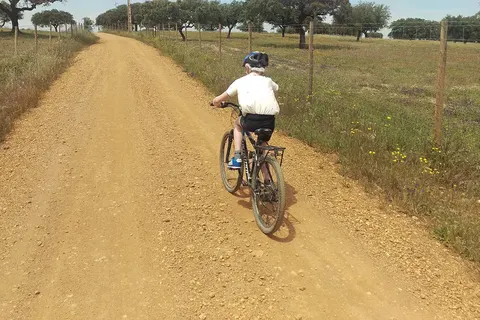 Hotel Rural Vila Gale Alentejo Vineyards foto 7