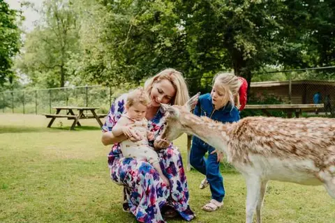 Vakantiepark Dierenbos in Vinkel — foto 16