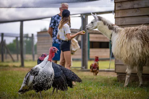 Camping Ferme Pédagogique De Prunay foto 34