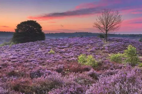 Hotel Restaurant de Loenermark foto 25