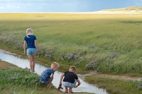 Villapark Residentie Texel in De Cocksdorp — foto 7