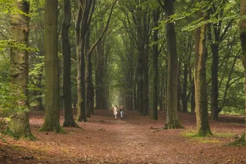 MarinaPark Bad Nederrijn foto 27