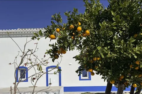 Quinta da pi Silveira in Loulé — foto 18