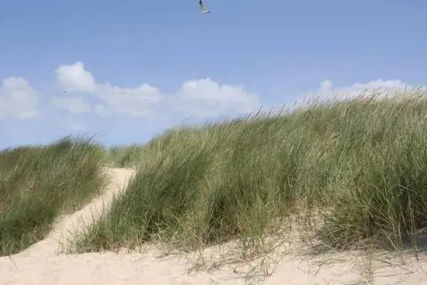 Holiday Suites Westende in Middelkerke — foto 22