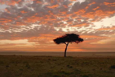 Explore the Great Nature of Kenya foto 1