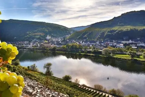 Hotel im Rheintal foto 20