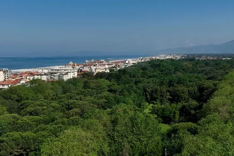 Palace Viareggio in Viareggio — foto 4