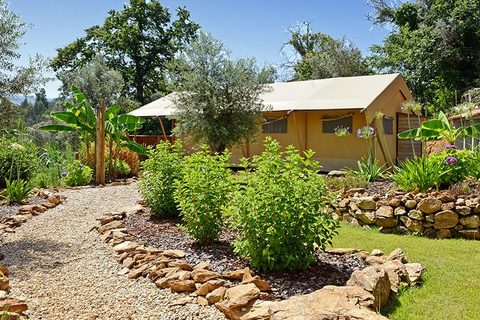 Casa Fontelheira foto 7