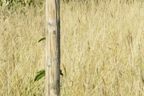 In de Tuin van Dorth foto 13