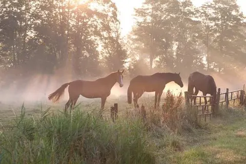 Villavelo Twente foto 11