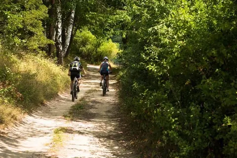 Van der Valk Hotel Nuland - &ampapos;s-Hertogenbosch foto 15