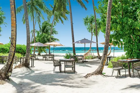 Dhigali Maldives in Raa Atoll — foto 19