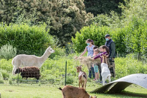 Camping Paradis Les Capucines foto 29