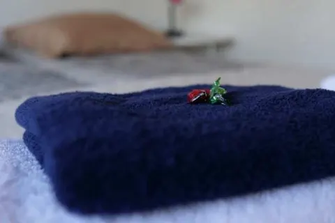 B&B Sagenland foto 9