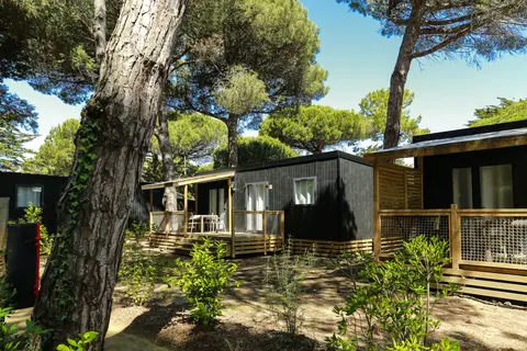 Flower Camping Tamarins Plage in Le Bois-Plage-en-Ré — foto 9