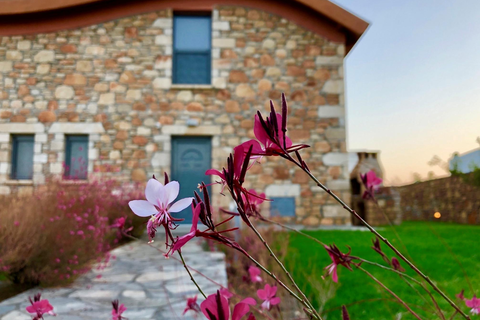 Estrella Villas foto 2