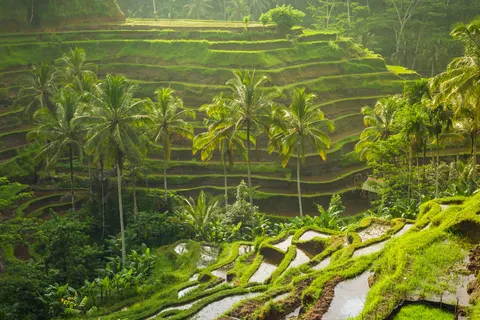 The Ultimate Java & Bali Experience foto 2