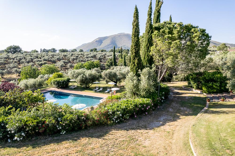 Il Bagolaro in Nerola — foto 7