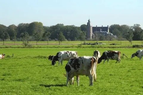 De Klomp-Charme Hotel en Restaurant foto 13