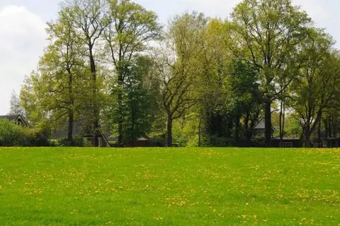 Buitenplaats in den Olden Bongerd foto 12