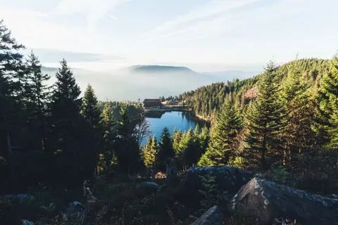 Landgasthof Freiämter Hof foto 13